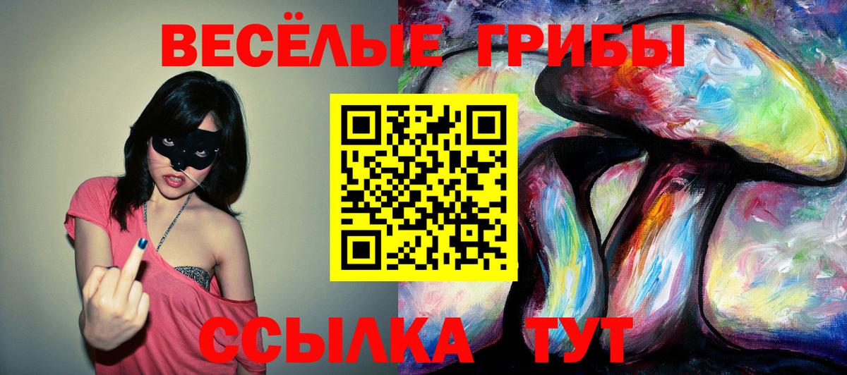Псилоцибиновые грибы прущие грибы Рославль
