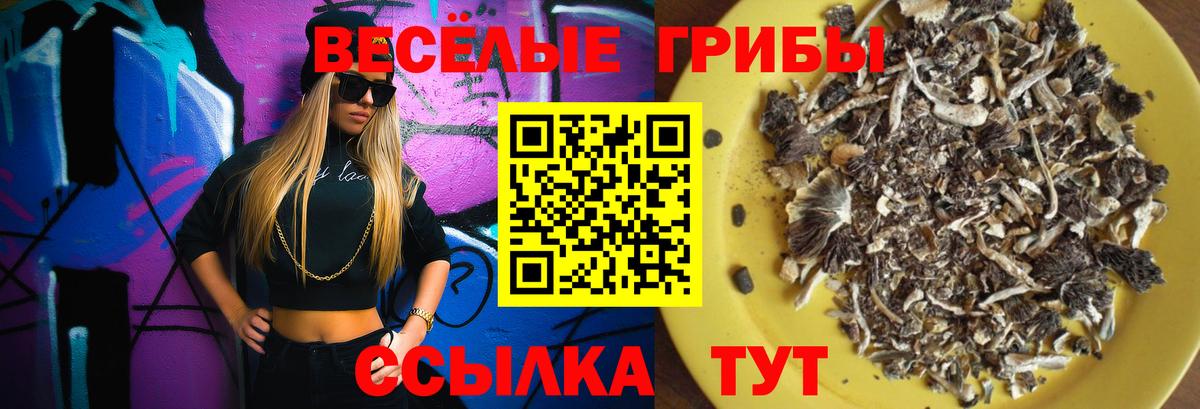 Рославль  Галлюциногенные грибы ЛСД  Вход с VPN 